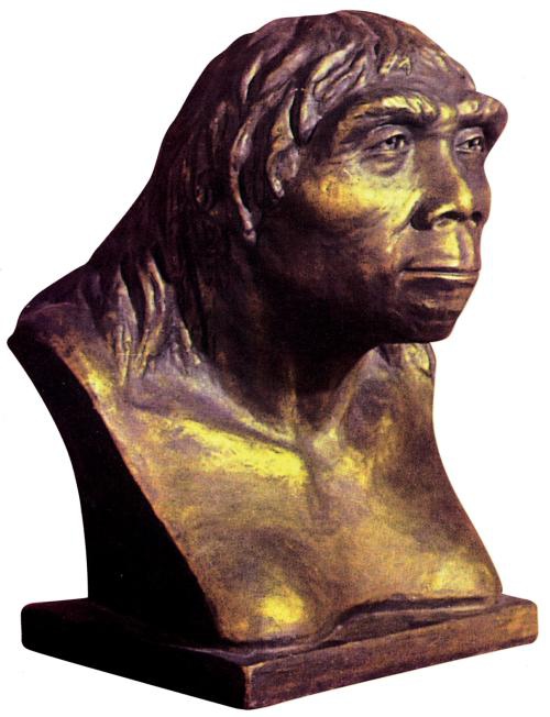 历史是个什么玩意儿?